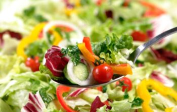 Rezept Bunter Salat mit frischem Gemüse